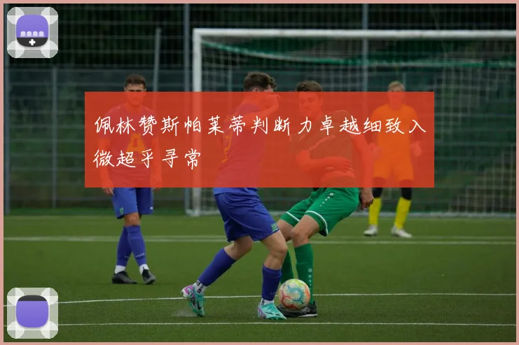 佩林赞斯帕莱蒂判断力卓越细致入微超乎寻常