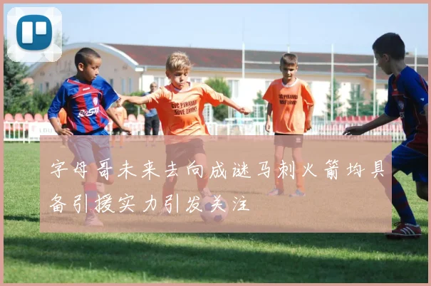 字母哥未来去向成谜马刺火箭均具备引援实力引发关注